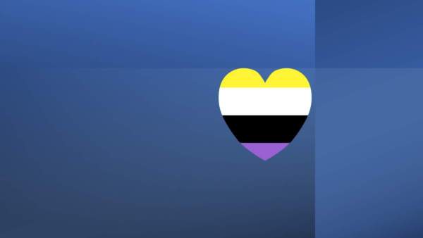 non binary vlag (4 horizontale banen in geel, wit, zwart en paars) in vorm van een hart