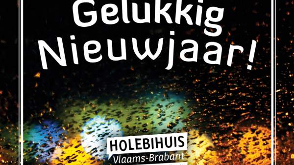 Een donkere foto met enkele wazige lichten op de achtergrond, meet daarop een wit kader, het logo van het Holebihuis en de woorden 'Gelukkig Nieuwjaar!'